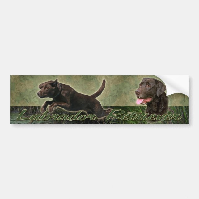 Chocolate Labrador Retriever collage bumper sticke Sticker (Front)