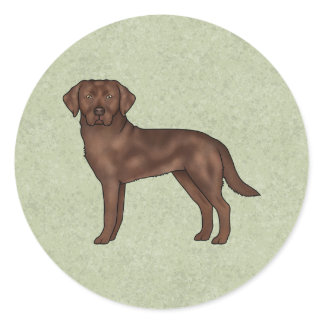 Chocolate Labrador Retriever Cute Lab Dog Green Classic Round Sticker