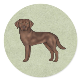 Chocolate Labrador Retriever Cute Lab Dog Green Classic Round Sticker