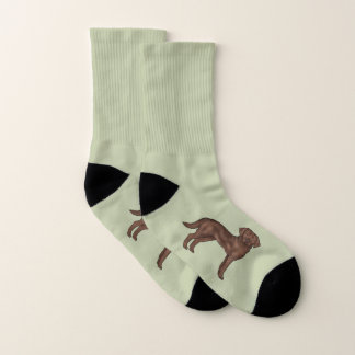 Chocolate Labrador Retriever Cute Lab Dog Green Socks