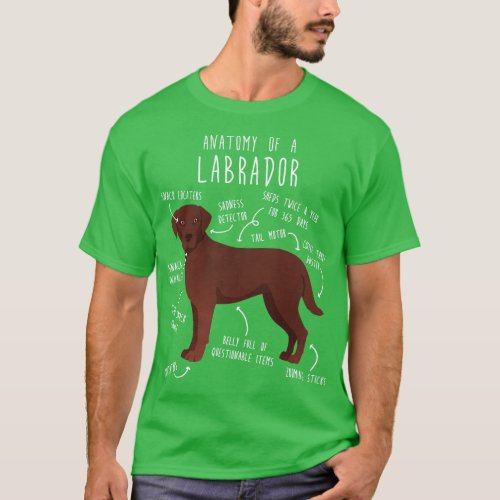 Chocolate Labrador Retriever Dog Anatomy 1 T_Shirt