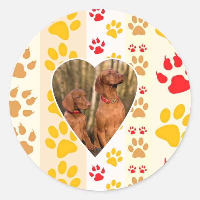 Chocolate Labrador Retriever  Dog Hearts Paw Print Classic Round Sticker (Front)