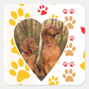 Chocolate Labrador Retriever Dog Hearts Paw Print Square Sticker