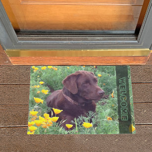Chocolate Labrador Retriever Dog in Orange Poppies Doormat