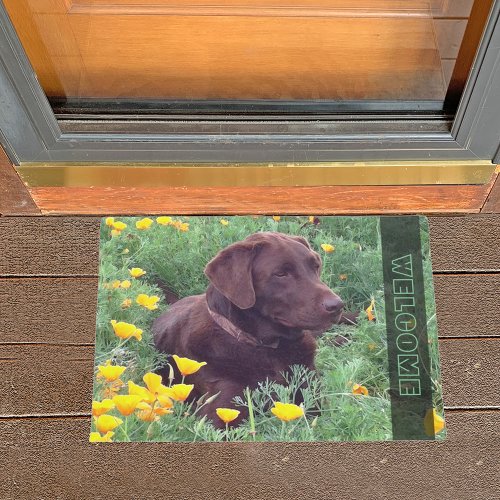 Chocolate Labrador Retriever Dog in Orange Poppies Doormat