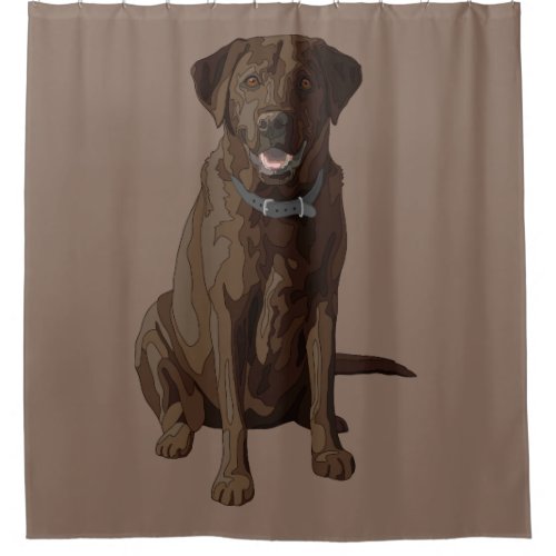Chocolate Labrador Retriever Dog Sitting Shower Curtain