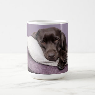 Chocolate labrador retriever dog sleepy on pillows coffee mug