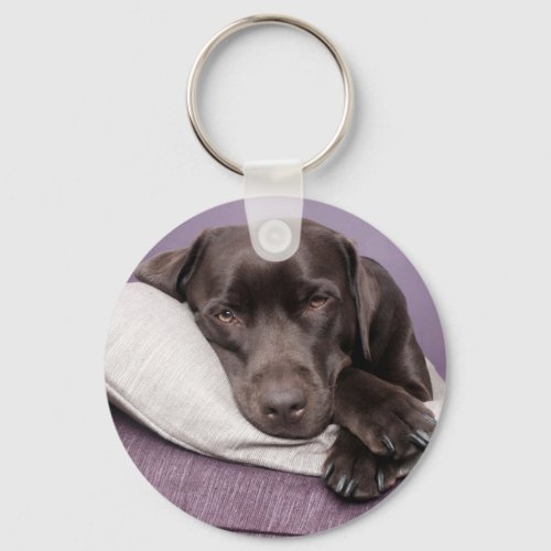 Chocolate labrador retriever dog sleepy on pillows keychain