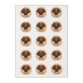 Chocolate Labrador Retriever Edible Frosting Round (Sheet)
