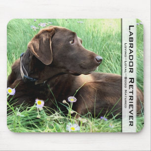 Chocolate Labrador Retriever Hunting Dog Photo Mouse Pad
