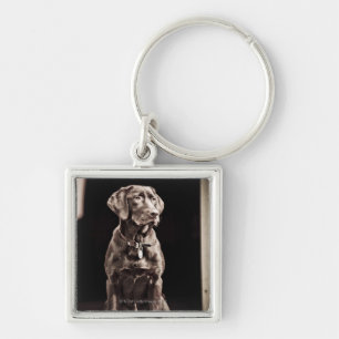 Chocolate Labrador Retriever Keychain