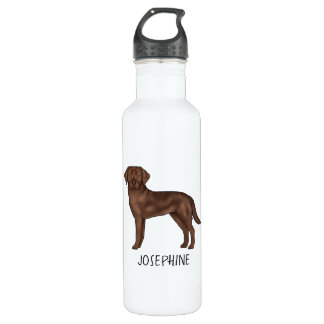 Chocolate Labrador Retriever Lab Art Custom Name Stainless Steel Water Bottle