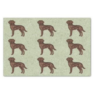 Chocolate Labrador Retriever Lab Dog Print Pattern Tissue Paper