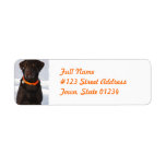 Chocolate Labrador Retriever Mailing Label