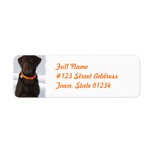 Chocolate Labrador Retriever Mailing Label