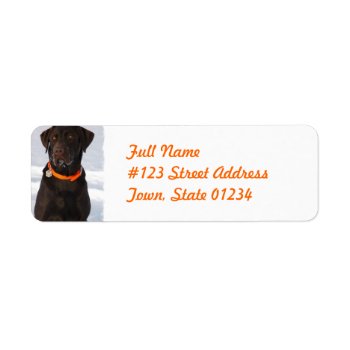 Chocolate Labrador Retriever Mailing Label by DogPoundGifts at Zazzle