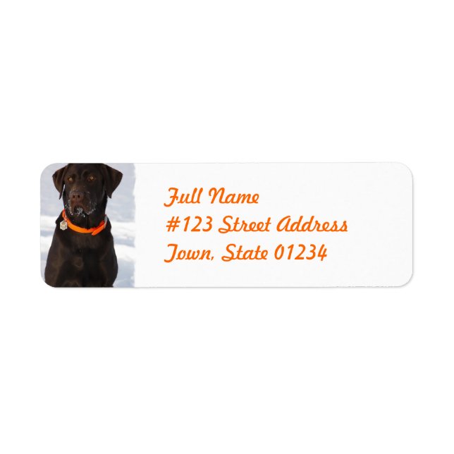 Chocolate Labrador Retriever Mailing Label (Front)