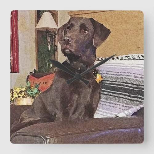 Chocolate Labrador Retriever On Chair Square Wall Clock