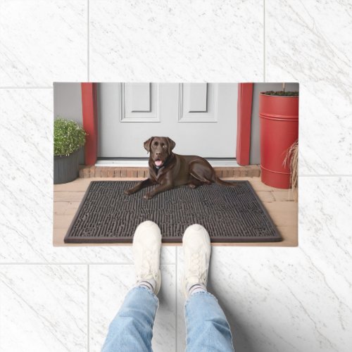 Chocolate Labrador Retriever On Door Mat