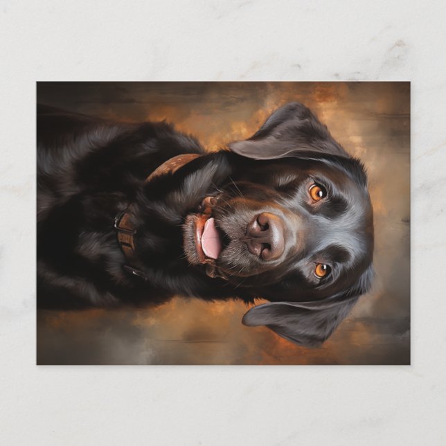 Chocolate Labrador Retriever  Postcard (Front)