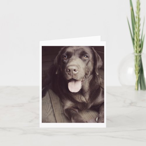 Chocolate Labrador Retriever Puppy Dog Note Card