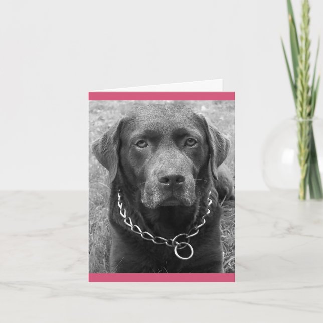 Chocolate Labrador Retriever Puppy Dog Note Card (Front)