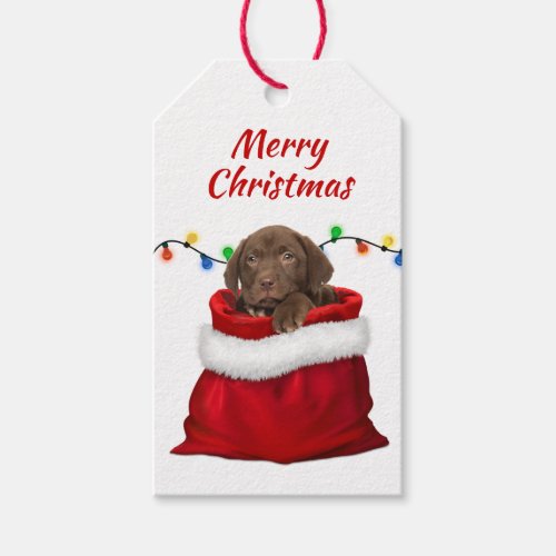 Chocolate Labrador Retriever Puppy in Santa Bag Gift Tags