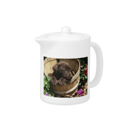 Chocolate Labrador Retriever Puppy Teapot