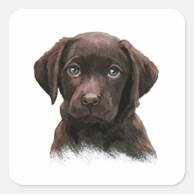 Chocolate Labrador Square Sticker (Front)