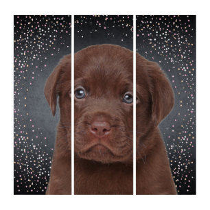 Chocolate Labrador Triptych