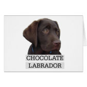 Chocolate Labrador Unique design! (Front Horizontal)