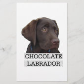 Chocolate Labrador Unique design! (Front)