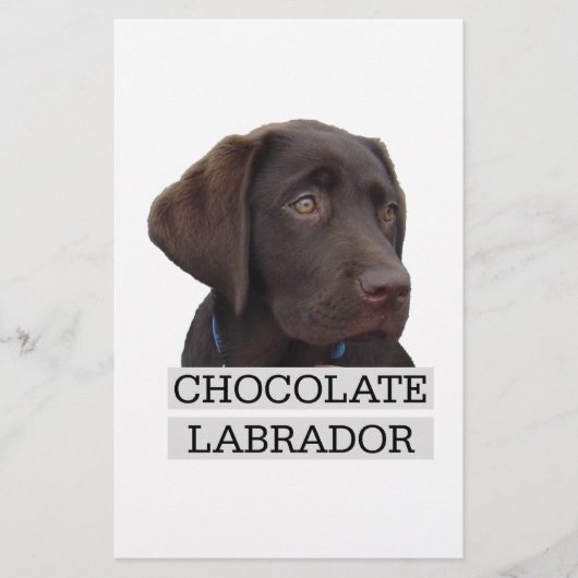Chocolate Labrador Unique design! (Front)
