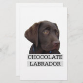 Chocolate Labrador Unique design! (Front/Back)