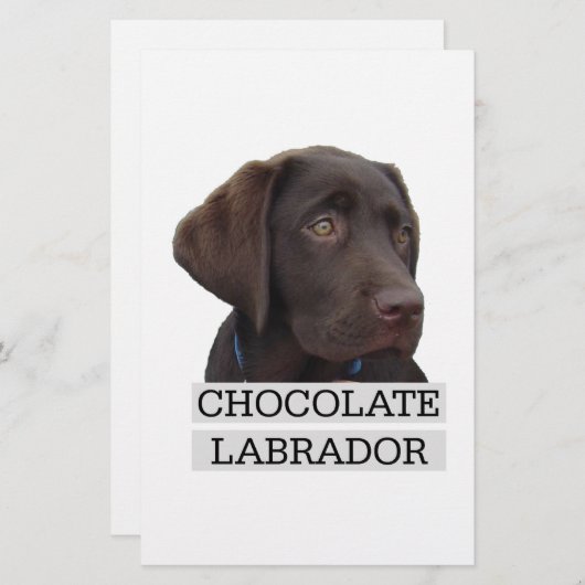 Chocolate Labrador Unique design! (Front/Back)