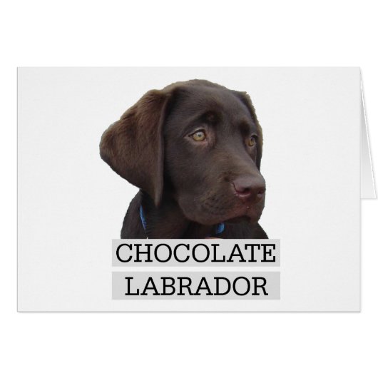 Chocolate Labrador Unique design! Cards (Front Horizontal)