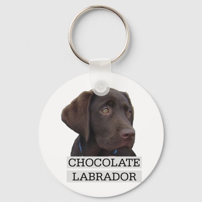 Chocolate Labrador Unique Design! Keychain (Front)