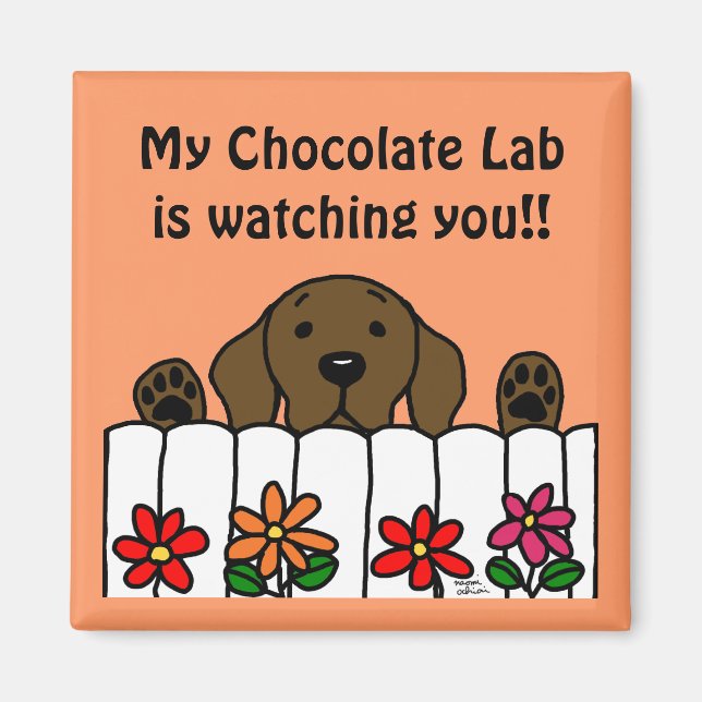 Chocolate Labrador watching you Magnet (Front)
