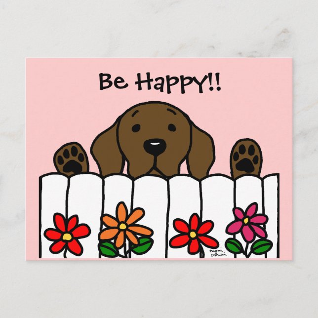 Chocolate Labrador watching you Postcard (Front)