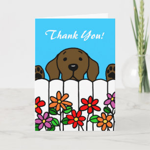 Chocolate Labrador watching you Thank You Card