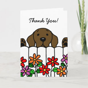 Chocolate Labrador watching you Thank You Card