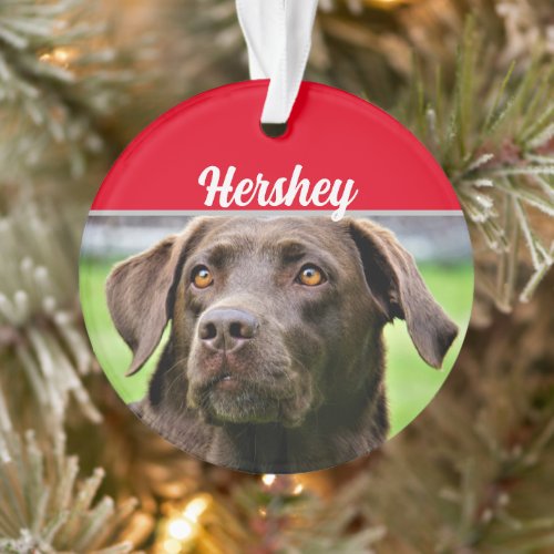Chocolate Labrador with Name and Photo Christmas Ornament