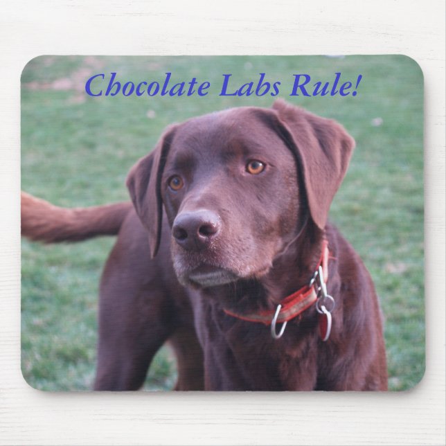 Chocolate Labs Rule! Mouse Pad (Front)