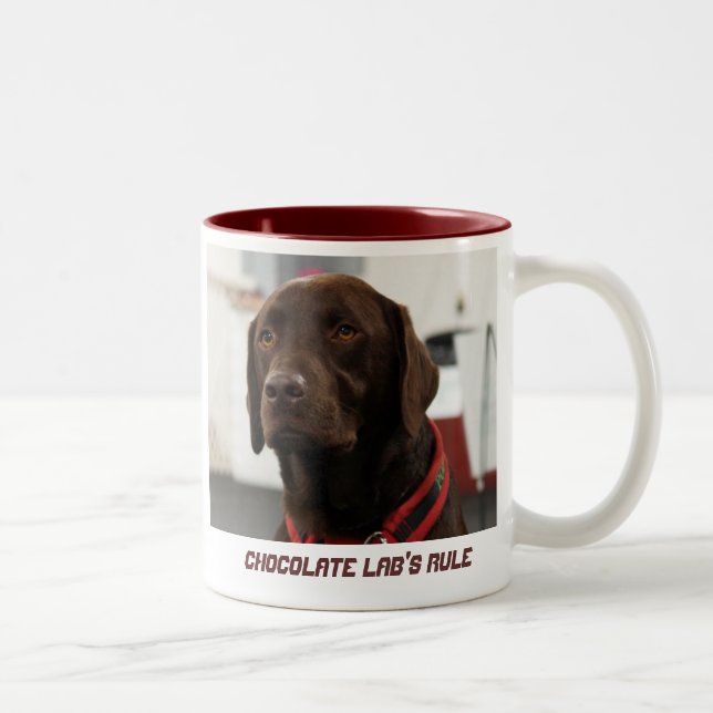 Chocolate Lab's Rule Two-Tone Coffee Mug (Right)