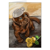 Chocolate Latte Lab (Front)