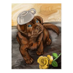 Chocolate Latte Lab Postcard
