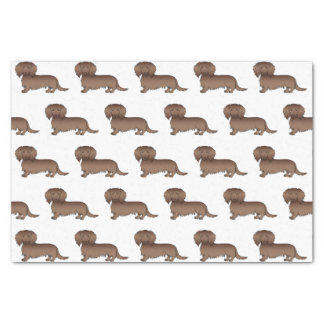 Chocolate Long Hair Dachshund Cute Dog Pattern Tissue Paper