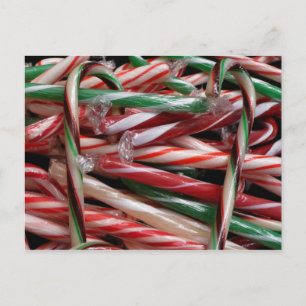 Chocolate Mint Candy Canes Holiday Festive Postcard