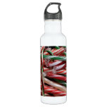 Chocolate Mint Candy Canes Holiday Festive Stainless Steel Water Bottle