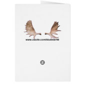 Chocolate Moose Cafe (Back)